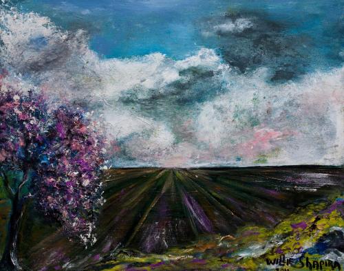 paysage - Willie Shapira