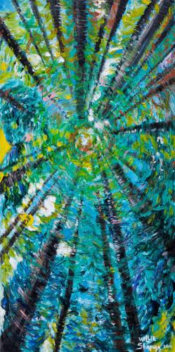 cimes d'arbres - Willie Shapira