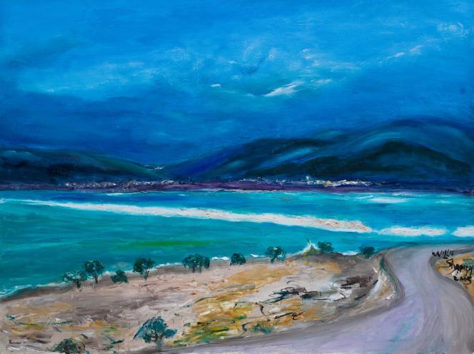 the dead sea - Willie Shapira - Click to enlarge