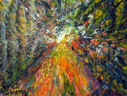 la foret a l'aube - Willie Shapira