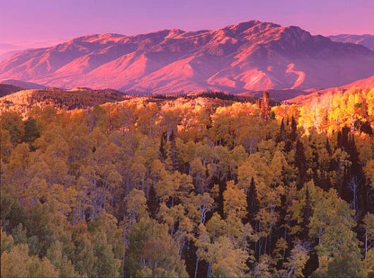 Mahogany Hill & Aspens - Arnold & Pamela Gentilezza