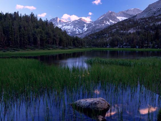 Marsh Lake and Grass III - Arnold & Pamela Gentilezza