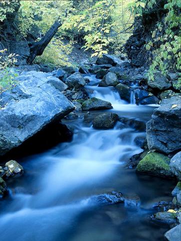 Summit Creek, Santaquin Canyon - Arnold & Pamela Gentilezza