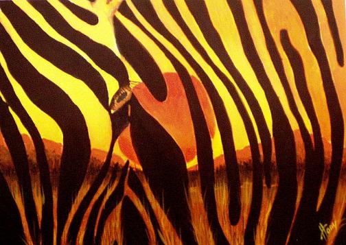 Wild Sunset 2 - Hany