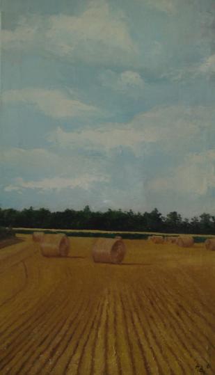 Bottes de pailles (4) - Adélaïde Daniel