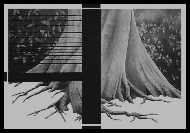 adaptation - Ahmed Ktata - Cliquer pour afficher en grand