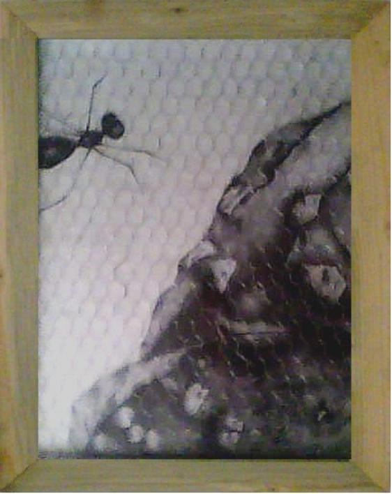 La Condition Humaine - Ahmed Ktata