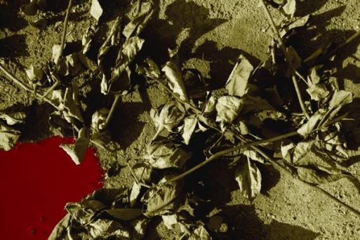 Roses fanées - Fabian Fenix