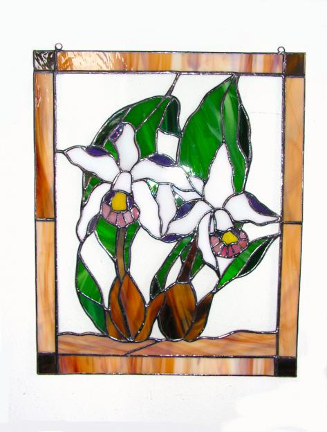 Orchids - Hana Kasakova