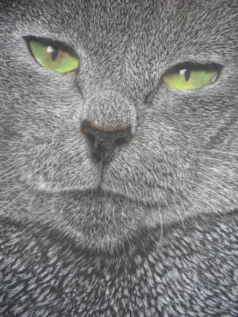 Chat gris2 - Christelle Mallaisé