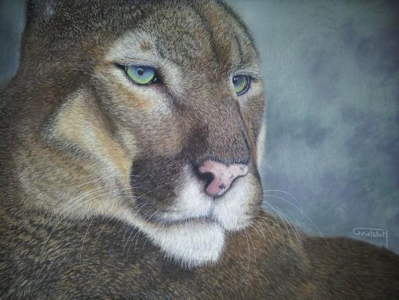 Songe d'un puma - Christelle Mallaisé - Click to enlarge