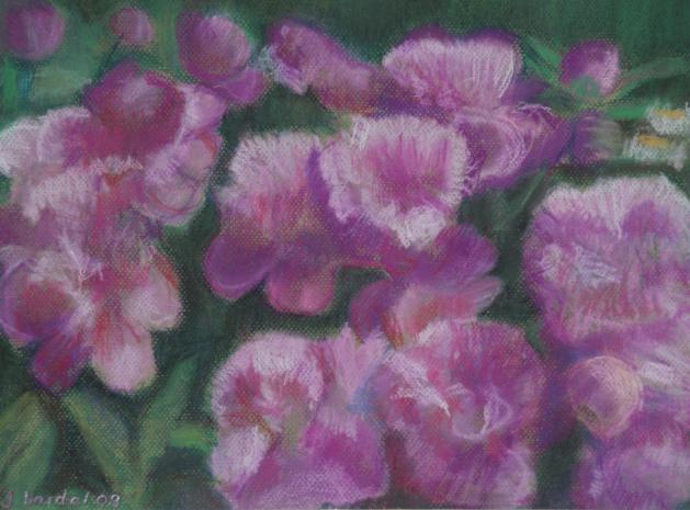 Pivoines 1 - Jacqueline Dardel-Kormann - Click to enlarge