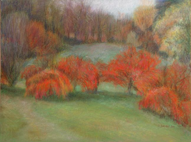 Automne à l'Arboretum d'Aubonne 02 - Jacqueline Dardel-Kormann - Click to enlarge