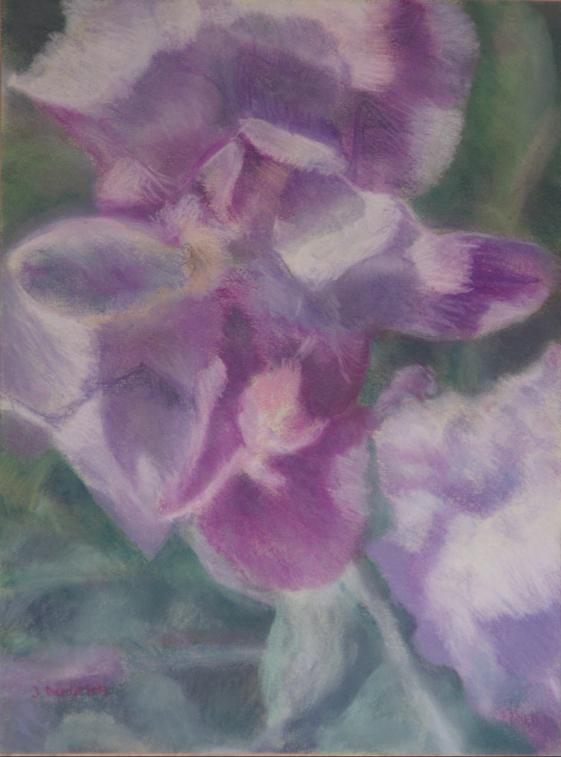 Iris 1 - Jacqueline Dardel-Kormann