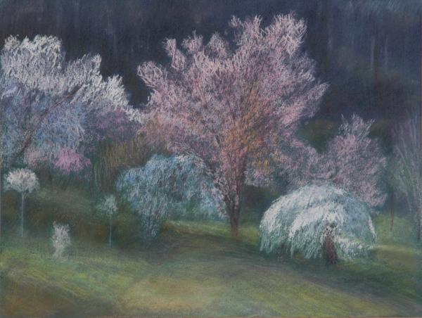 Printemps à l'Arboretum d'Aubonne 1 - Jacqueline Dardel-Kormann - Click to enlarge