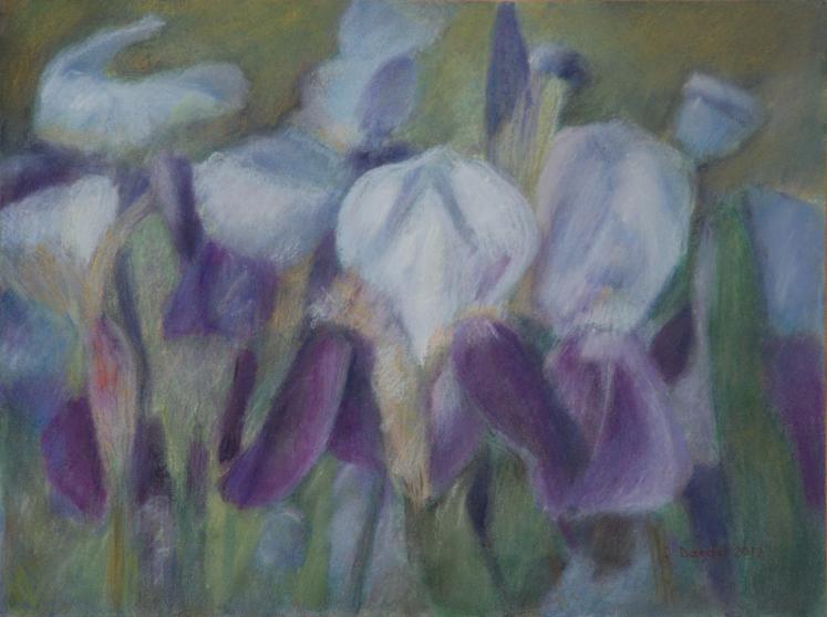 Iris 2 - Jacqueline Dardel-Kormann - Click to enlarge