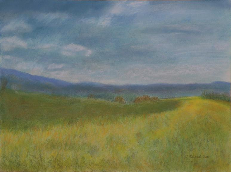 Champ de colza 1 - Jacqueline Dardel-Kormann - Click to enlarge