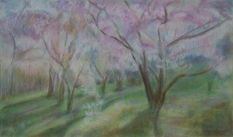 Printemps à l'Arboretum d'Aubonne 3 - Jacqueline Dardel-Kormann - Cliquer pour afficher en grand
