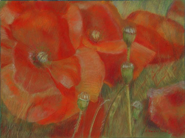 Coquelicots - Jacqueline Dardel-Kormann - Click to enlarge