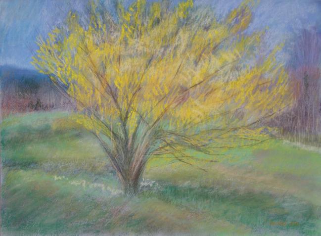 Printemps à l'Arboretum d'Aubonne 4 - Jacqueline Dardel-Kormann - Cliquer pour afficher en grand