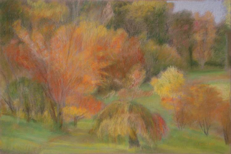 Automne à l'Arboretum d'Aubonne 09 - Jacqueline Dardel-Kormann - Click to enlarge