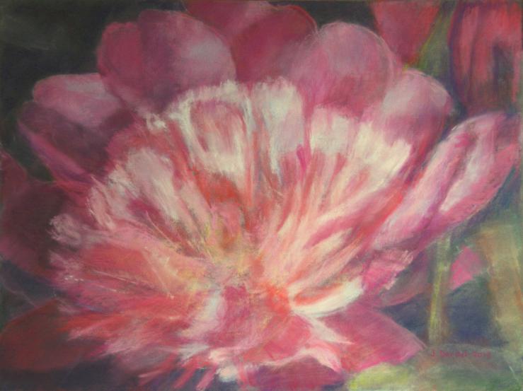 Pivoines 2 - Jacqueline Dardel-Kormann - Click to enlarge