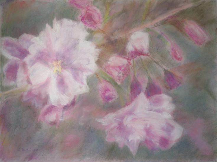 Cerisier en fleur 2 - Jacqueline Dardel-Kormann - Click to enlarge