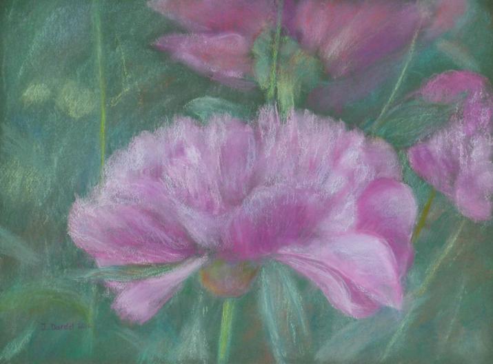 Pivoines 3 - Jacqueline Dardel-Kormann - Cliquer pour afficher en grand