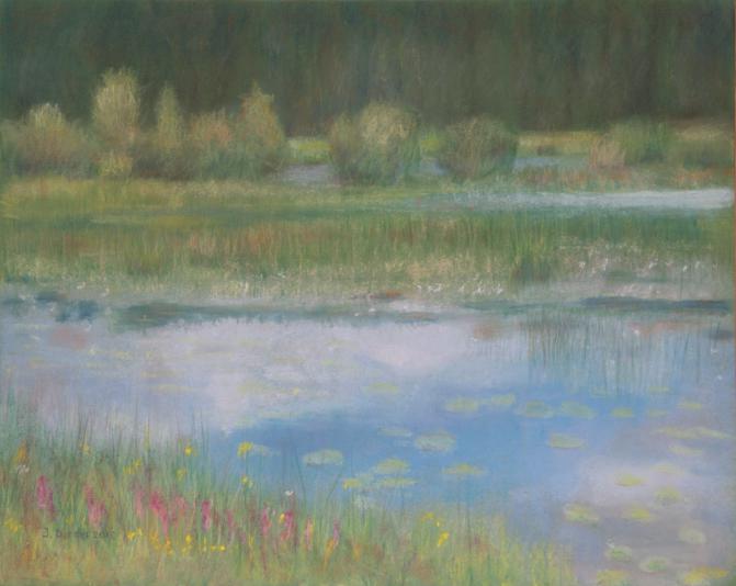 Etang de Remoray en été 1 - Jacqueline Dardel-Kormann - Click to enlarge