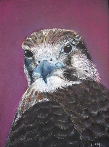 AIGLE - Raymond Hirgorom