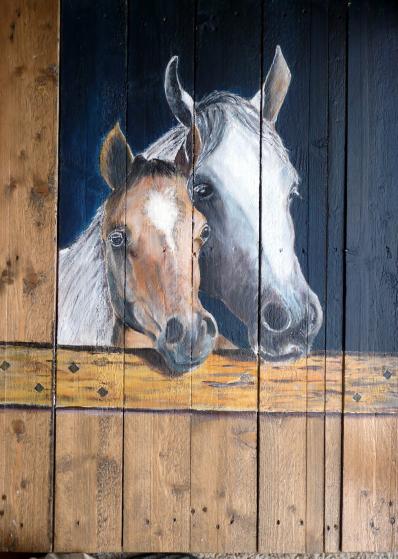 CHEVAUX - Raymond Hirgorom