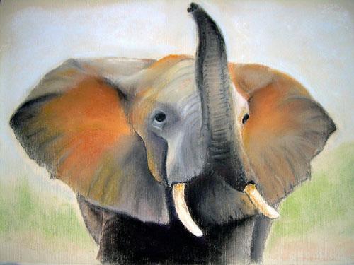 ELEPHANT - Raymond Hirgorom