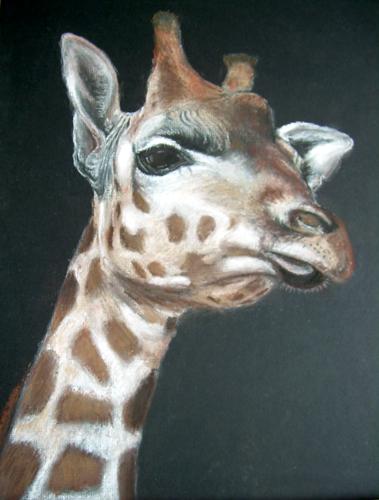GIRAFE - Raymond Hirgorom