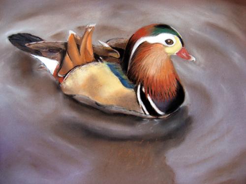 MANDARIN - Raymond Hirgorom