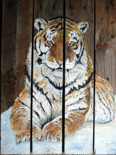 TIGRE DE SIBERIE - Raymond Hirgorom