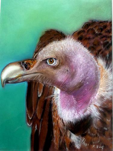 VAUTOUR - Raymond Hirgorom