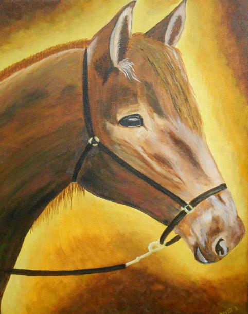 cheval - Isabelle Dhondt