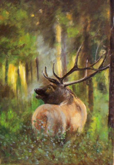 Le  cerf aus bois - Georges Ruault