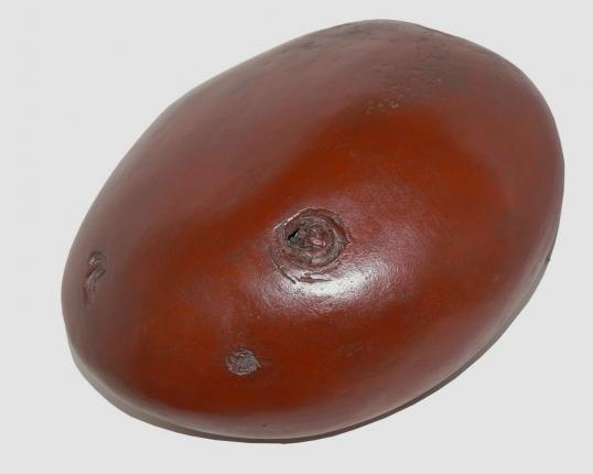 Cicatrices - Geneviève Duchâteau