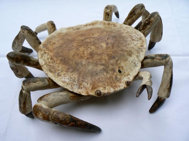 Crabe 1 - Geneviève Duchâteau - Click to enlarge