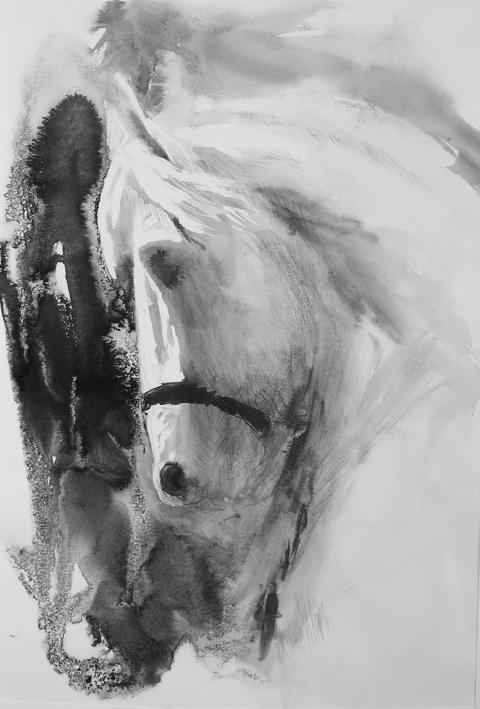 Tête de cheval - Colette Levie
