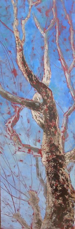 arbres en ciel, l'hiver 2012 - Colette Levie