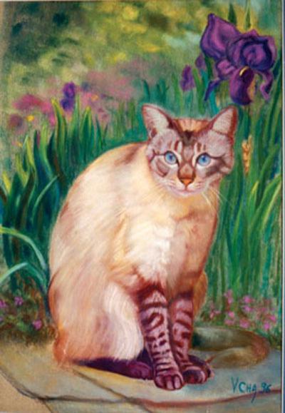 Chat aux Iris - Véronique Champier