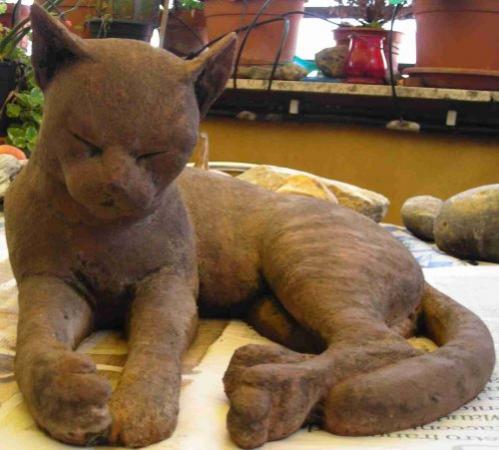 cat - Gaetano Cherubini