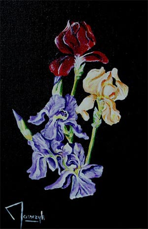 iris - Michel Maszczyk