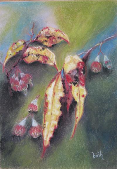 Golden Gum - Binh Pham