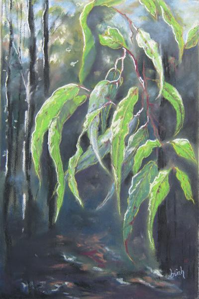 Misty Gum - Binh Pham
