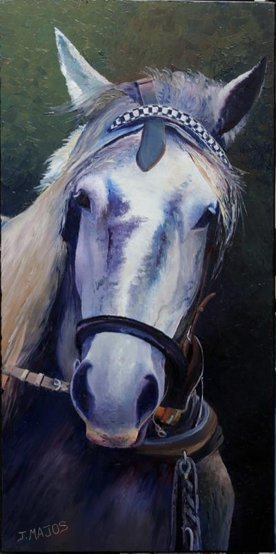 Le cheval D'Argent - Jacques Majos