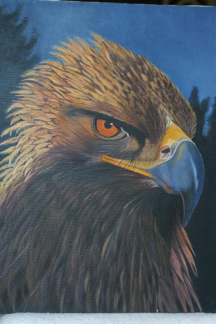 aigle - Mireille Lubrano