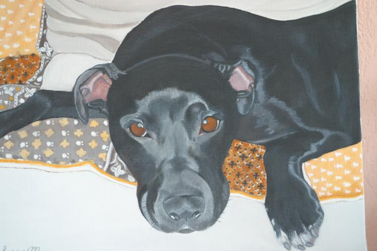 chien lola - Mireille Lubrano - Click to enlarge